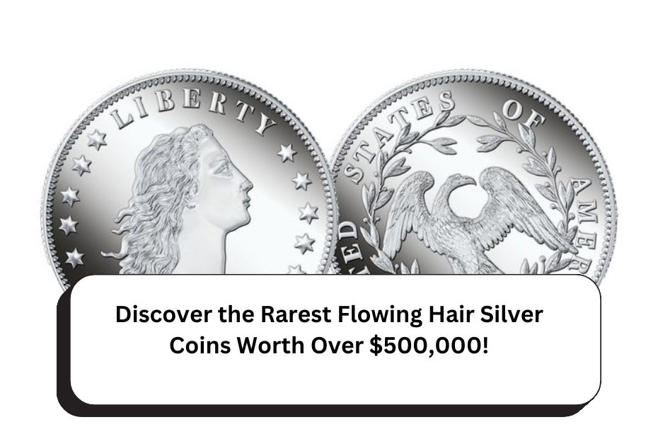 Discover the Rarest Flowing Hair Silver Coins Worth Over $500,000!