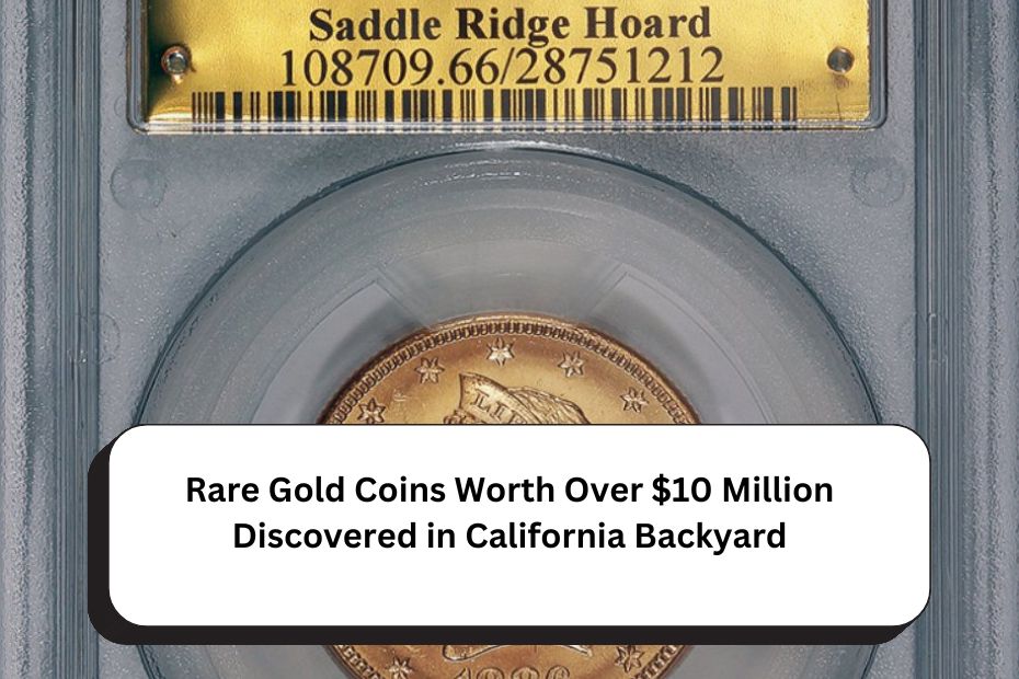 Rare Gold Coins Worth Over $10 Million Discovered in California Backyard